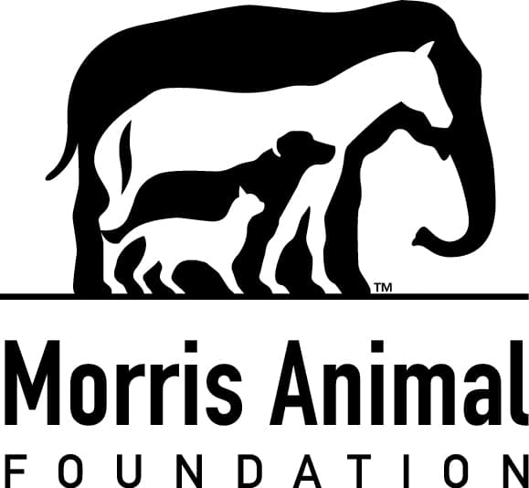 Morris Animal Foundation Logo