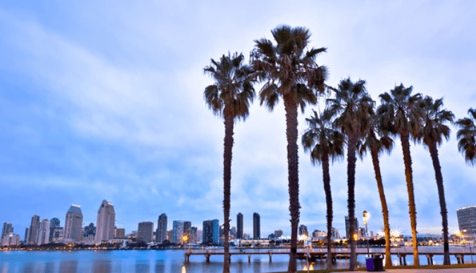 Image of San Diego City Skyline with palm trees