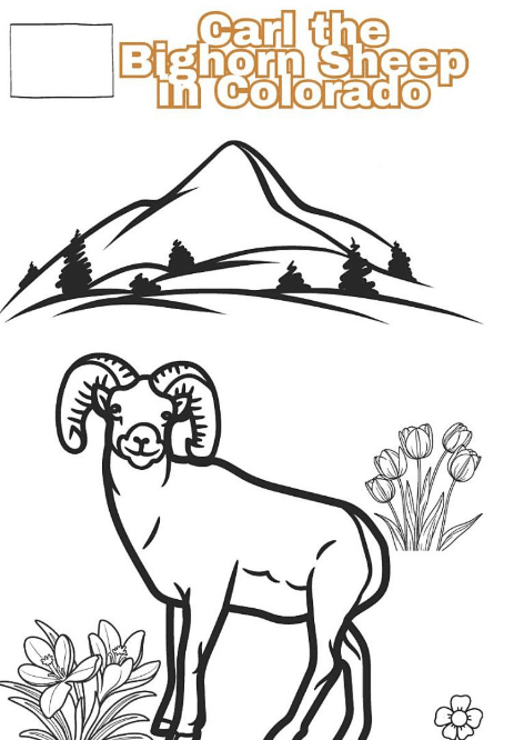 Best Kids Coloring Book - art from the book America the Coloring Journey - Animals & U.S. States - can be seen